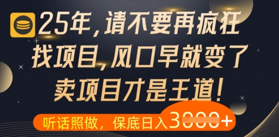 什么？25年你还在疯狂找项目做，醒醒吧，看完这些你全都懂了【揭秘】好项目网-专注分享网络创业项目落地实操课程 – 全网首发_高质量创业项目输出好项目网