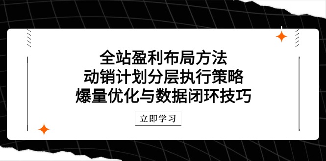 全站盈利布局方法:动销计划分层执行策略,爆量优化与数据闭环技巧好项目网-专注分享网络创业项目落地实操课程 – 全网首发_高质量创业项目输出好项目网