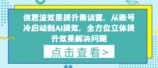 信息流效果提升集训营，从账号冷启动到AI提效，全方位立体提升效果解决问题好项目网-专注分享网络创业项目落地实操课程 – 全网首发_高质量创业项目输出好项目网