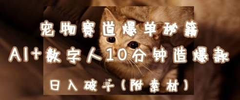 宠物赛道爆单秘籍：AI+数字人10分钟造爆款，日入1k好项目网-专注分享网络创业项目落地实操课程 – 全网首发_高质量创业项目输出好项目网